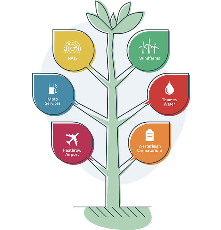 Illustration of a plant with leaves that represent our key UK Private Market investments which are detailed below.
